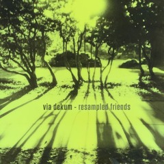 Resampled Friends EP - Out Oct 1st (Bandcamp)