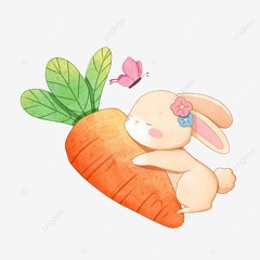 aaaa