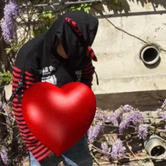 To Late/LOL
