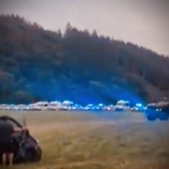 CA¥ - THIS IS THE POLICE