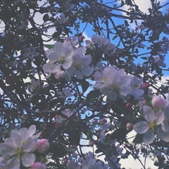 visions of morning (demo)