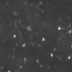 sweetness follows (rem cover)