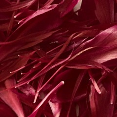 transitional object @ Karlstorbahnhof (June 2024)