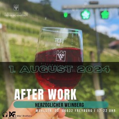 Mäx Brothers & DGF @ Afterwork Freyburg 01.08.2024
