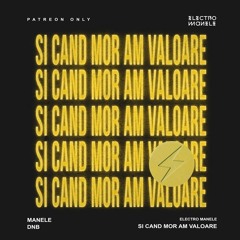 si cand mor am valoare (manele dnb)