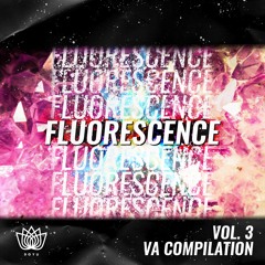 Fluorescence Vol. 3
