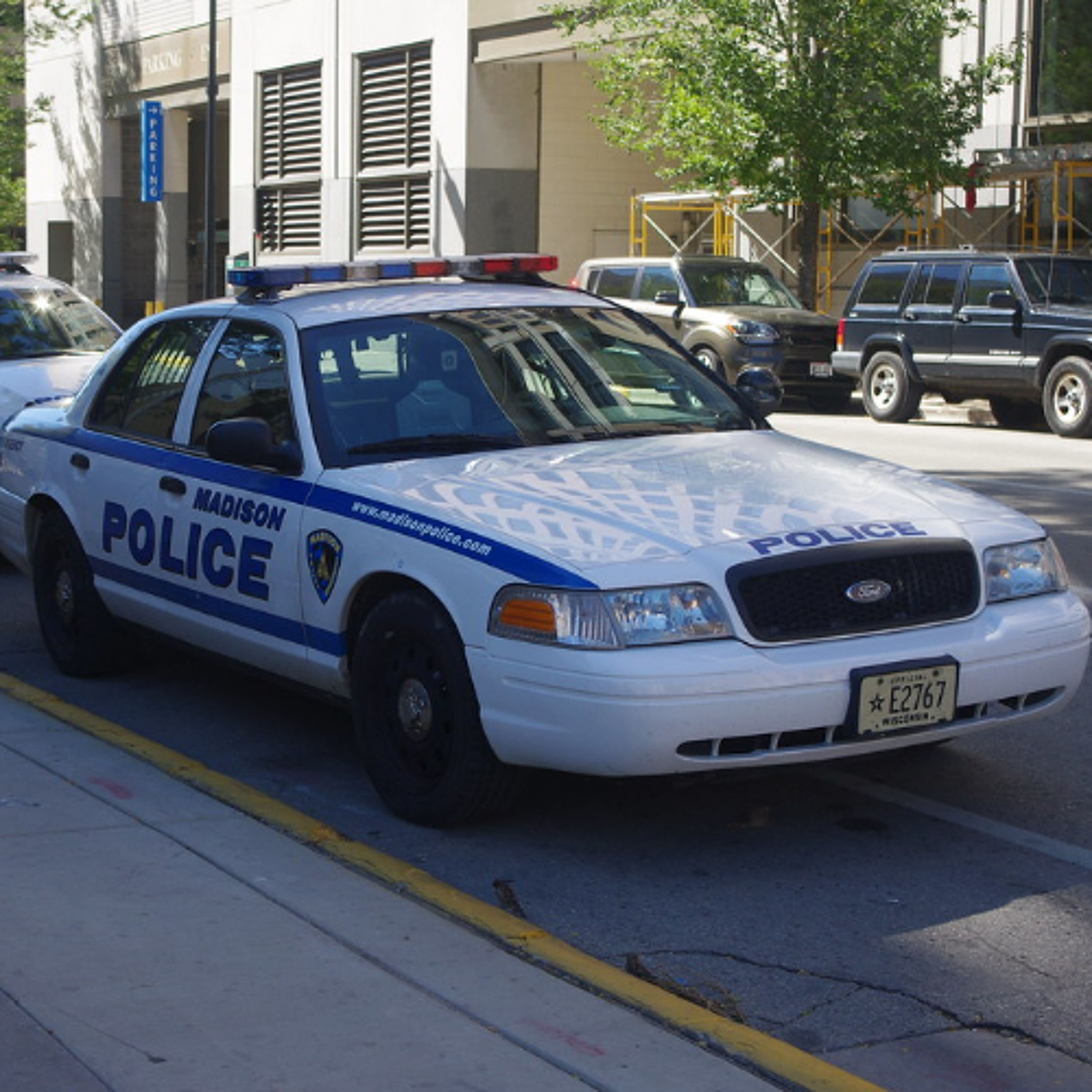 Police oversight bodies under-resourced and overworked, leaders say