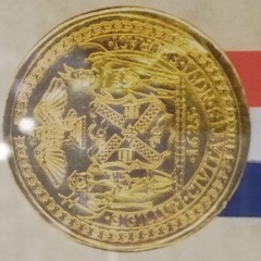 Ryan O'Neil Hamilton