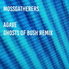 Agave - Ghosts of Bush Remix