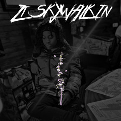 Did I - ZT SKYWALKIN