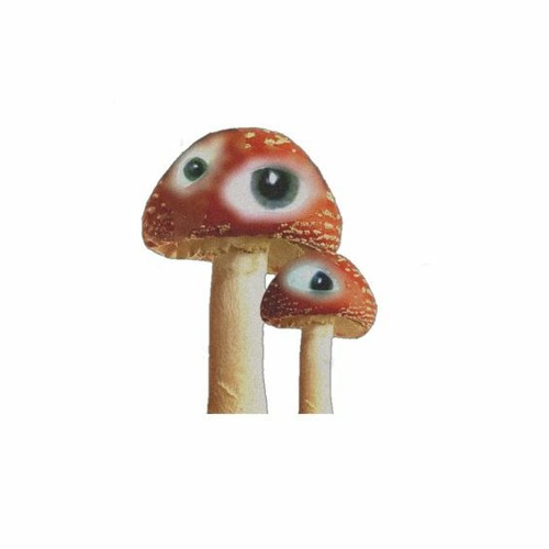 some1 tell me where the luv is w/ kid trash [saintbyleth]