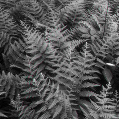 Dan Lunar “A Lifetime Away” Homemade Demo