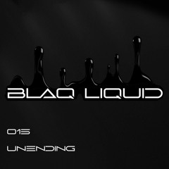 Unending (Original Mix) - Blaq Liquid