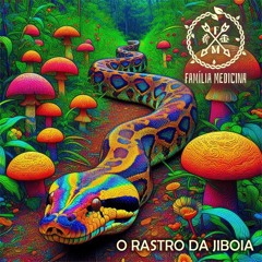 O Rastro da Jiboia · Família Medicina