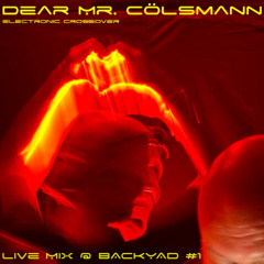 Dear Mr. Cölsmann Live Set @ BACKYRD #1