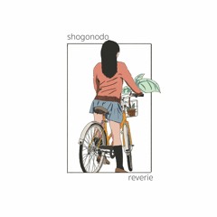 shogonodo & Northern Loon - Try To Forget