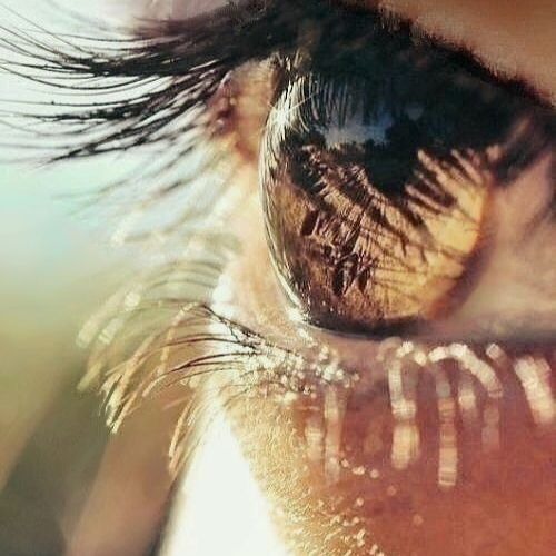 Ꮒ u m a n ~ d n a ~ h e l i x ~ 👁️⃤⋆ .⋆˚ ⭒