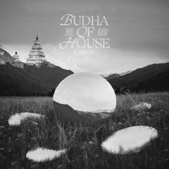budha of house 03 - UDRG