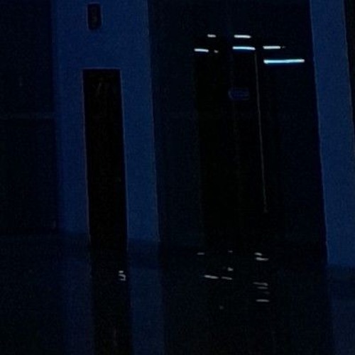 Virtual Self - Ghost Voices [flip]