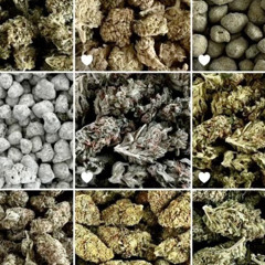 COCODRILO JUGG REMIX [prod gael]