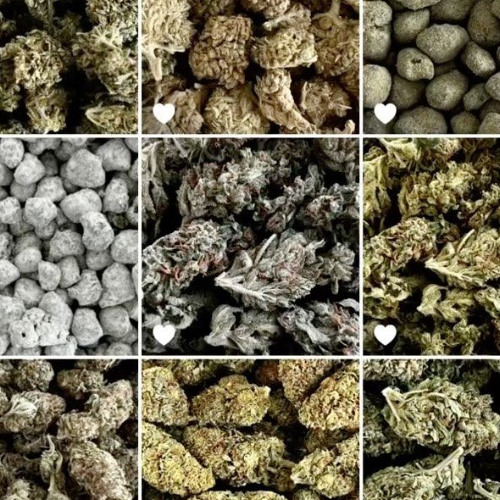 COCODRILO JUGG REMIX [prod gael]