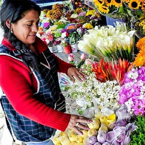 Fortalecerse y avanzar, la Cadena de flores del Perú Diciembre 7 2023