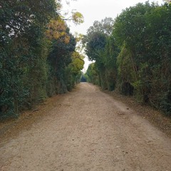 Todo pasa, todo (prod 808_blink x martin.leib)