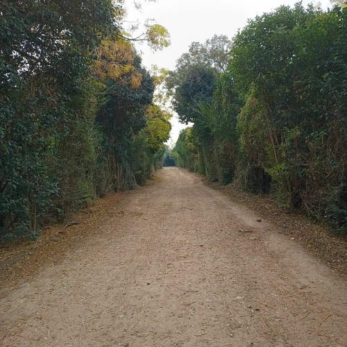 Todo pasa, todo (prod 808_blink x martin.leib)