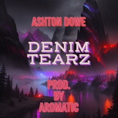 DENIM TEARZ.mp3