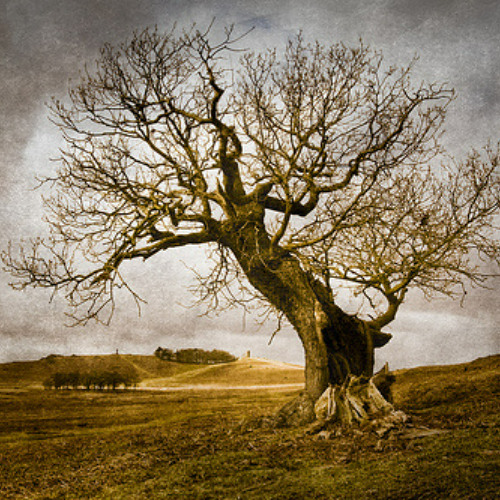 sometimes my thoughts are my enemies.