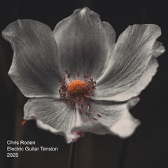 Sparse Tension