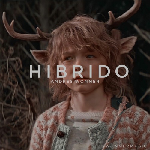 Wonner - Hibrido