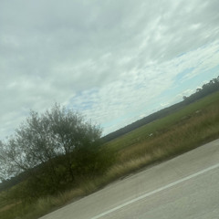 feel me prod love&peace ginseng