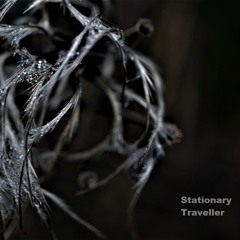 The 2nd Gate Of Dreams - Stationary Traveller