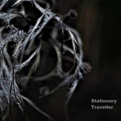 The 2nd Gate Of Dreams - Stationary Traveller