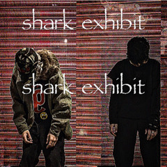 EVERYBODY WANTS TO BE THE SHARK