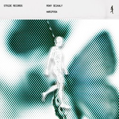 New Day (Original Mix)