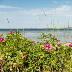 monica-   everything to me piano cover