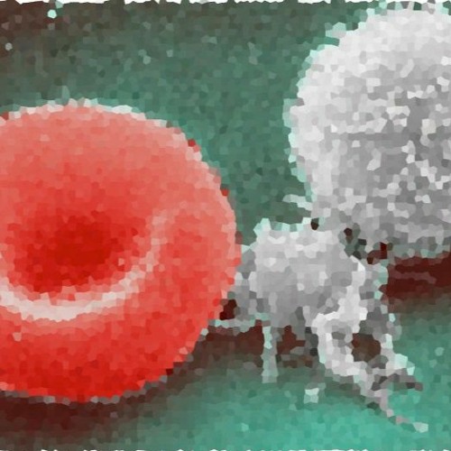 PWAC (Plz Wear A Condom)