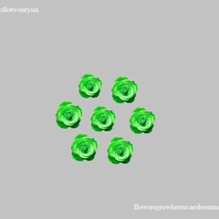 flowersgrowwherescarsbeenmade