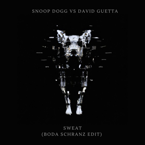 SNOOP DOGG VS DAVID GUETTA - SWEAT (BODA SCHRANZ EDIT)