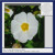 Artwork for Joy in the Morning #17 @ Operator Radio - 02.06.25