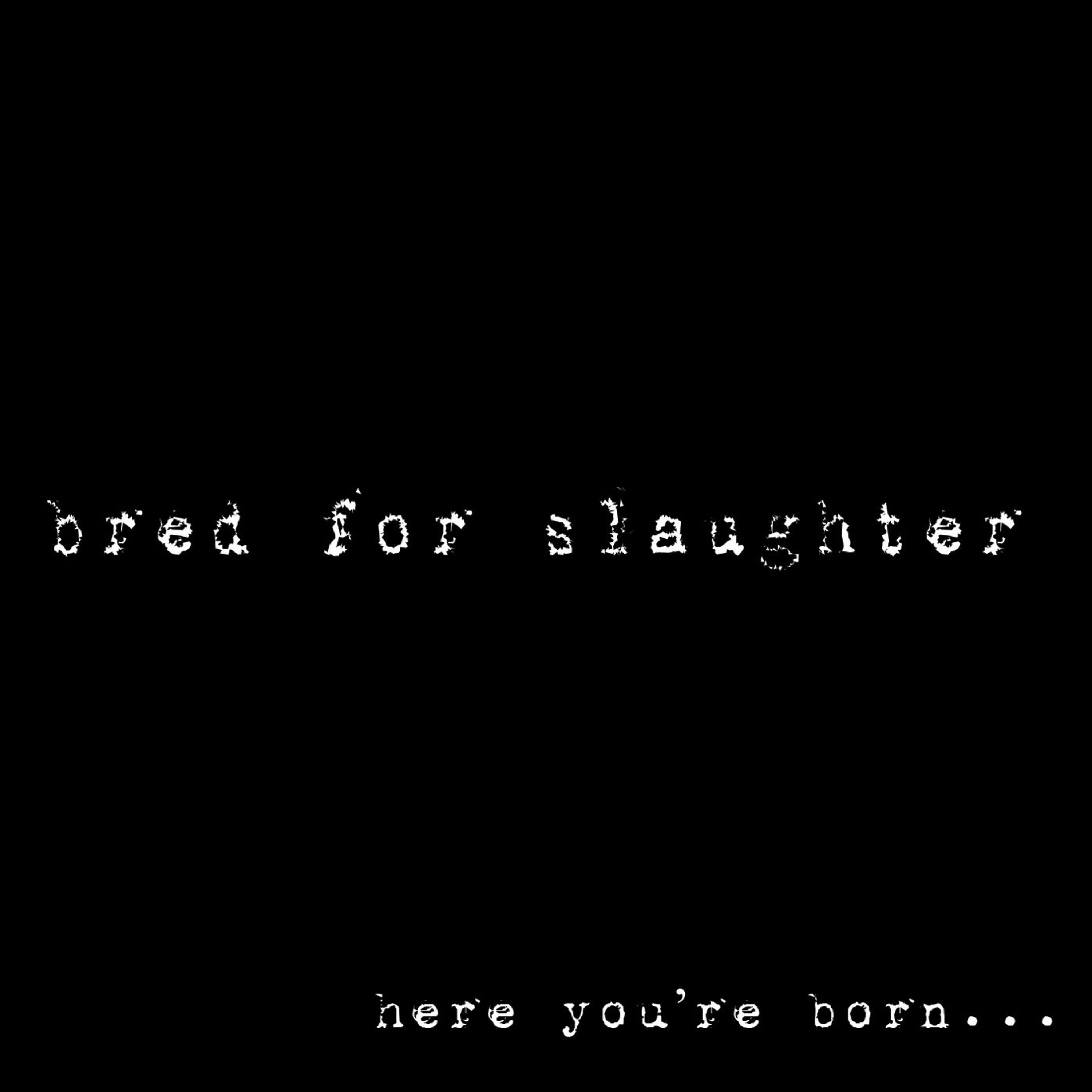 Bred For Slaughter - Kill You Dead