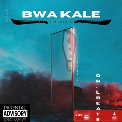 Bwa Kale  - Freestyle