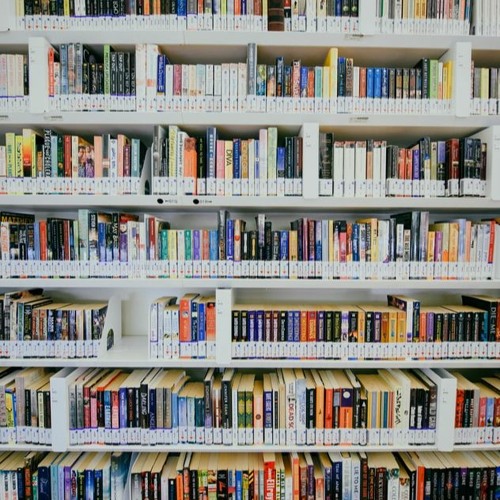 Bert Hogemans – Voortbestaan Bibliotheken In Malden En Overasselt