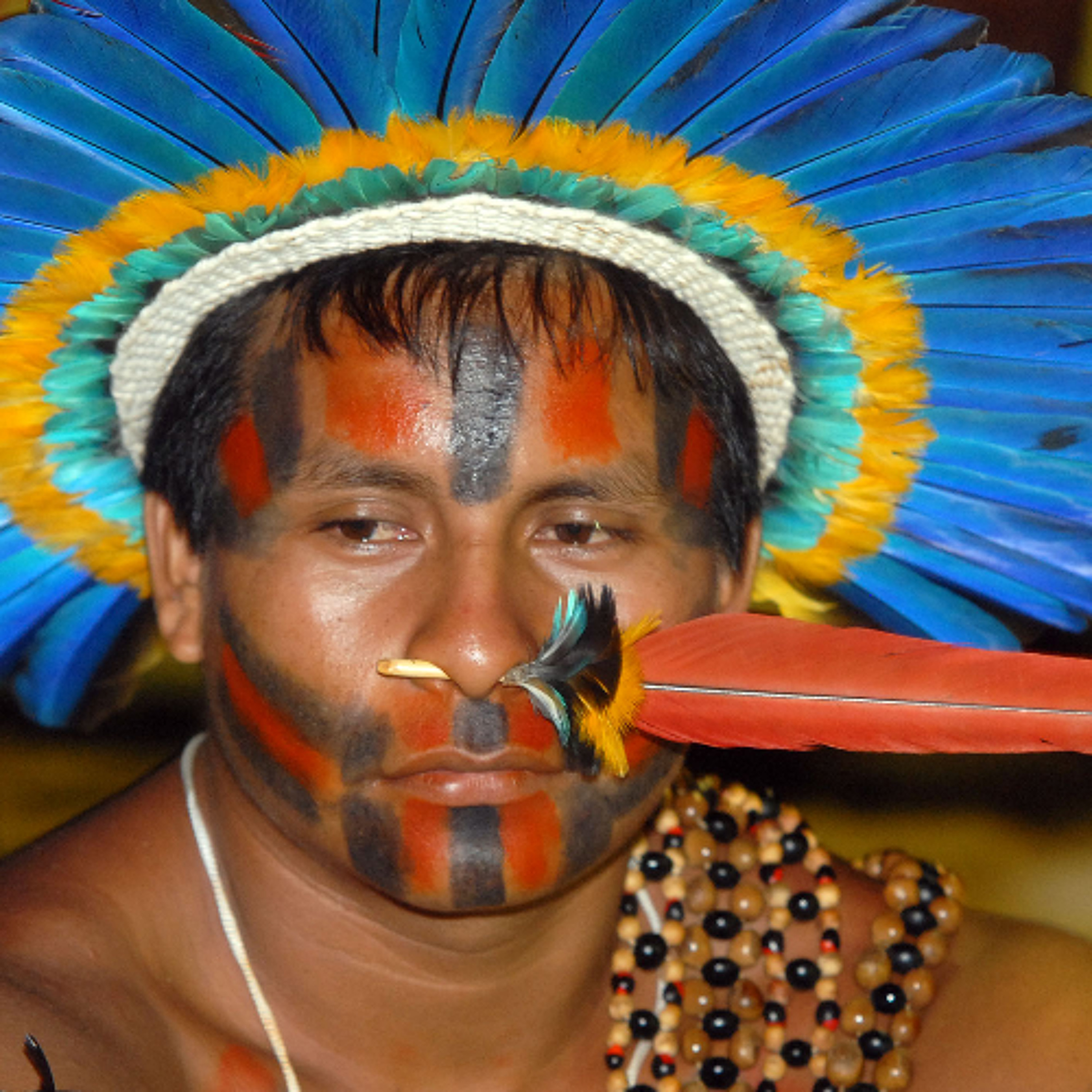 11425 Indigenous Resistance in Belem, Bondi Investigates Bill Clinton, Starbucks Red Cup Strike, Trump Faces Affordability Crisis episode artwork