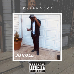 PLIES X Ray jungle
