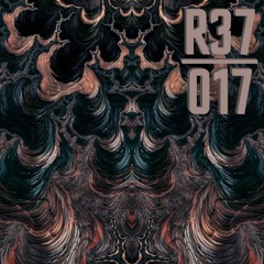 R37 Podcast 017 | E11