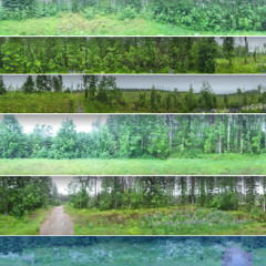 PATHWAYS  2025-02-22