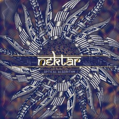 Nektarios & Orestis - Optical Algorithms